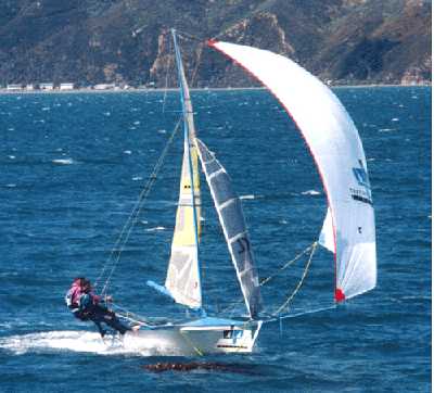 Dimension Polyant Sailcolth