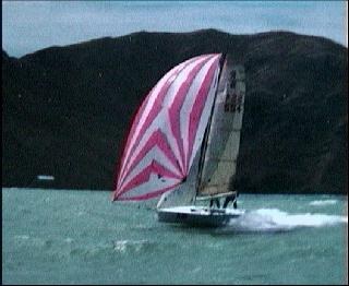 vr23jan1999sm.jpg