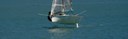 banner-DSC08190-980.JPG