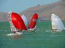 Kites every which way. R595 Subwoofe, R587 Dimension Polyant, B3D and R581 Stagecoach