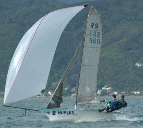 Nuplex Alex Vallings and Lyn Holland kite
