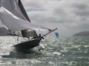 leander 2008