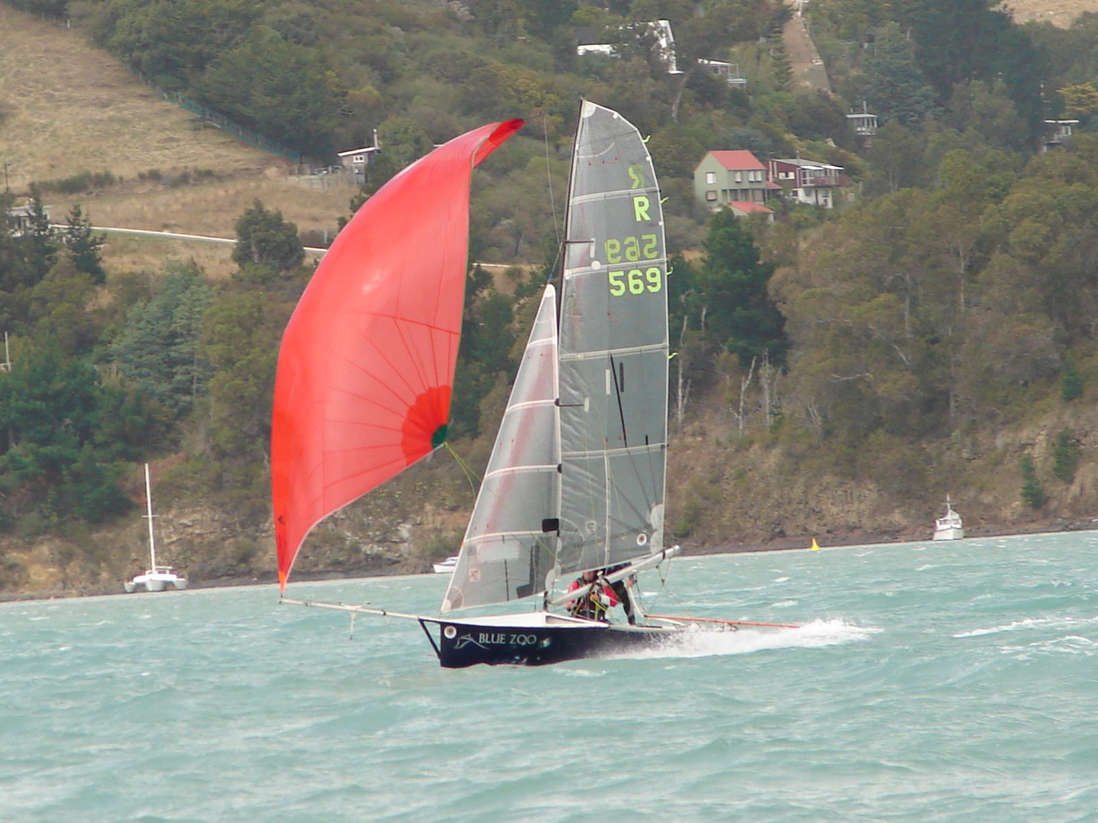 R569 Blue - Zoo James Collet and Nick James