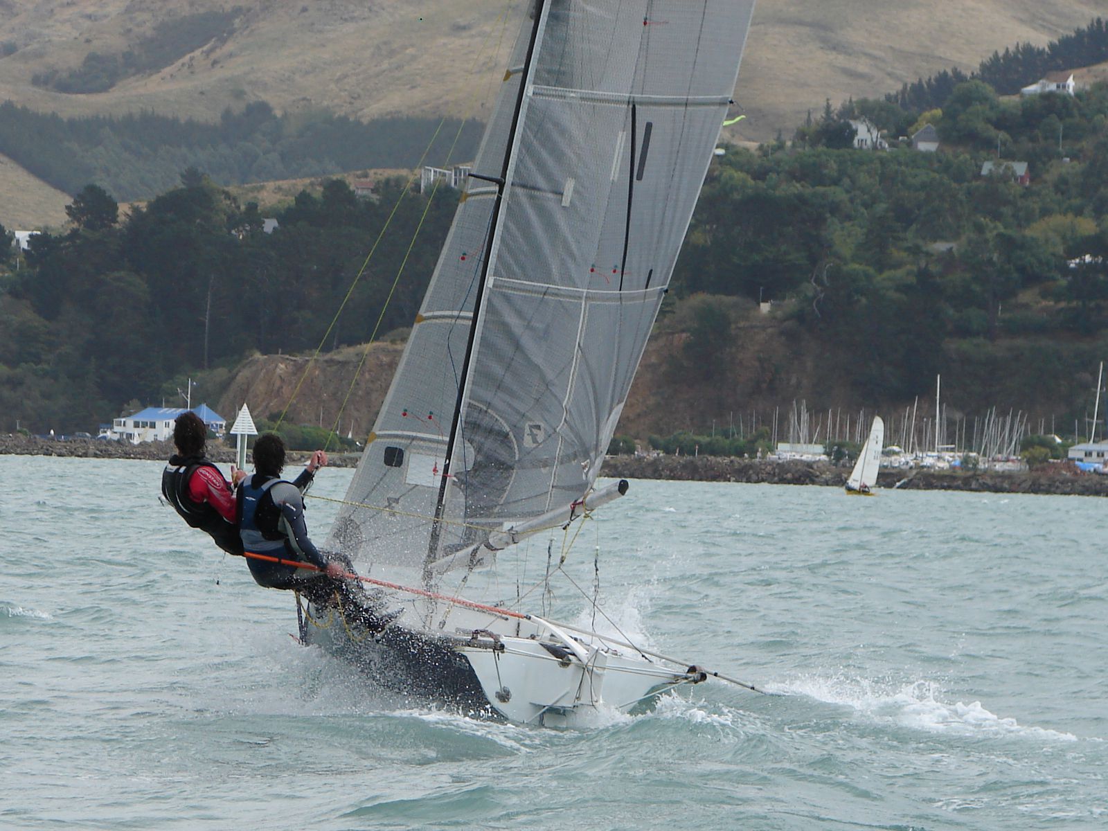 R569 Blue - Zoo James Collet and Nick James