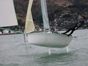 R589 Merde -  David Pairman and Steve Fortune