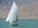 R589 - Merde - David Pairman and Peter Holder kite 