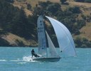 Nuplex Davie Norris - Akaroa Kite