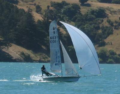 Nuplex Davie Norris - Akaroa Kite