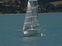 R589 - Merde - Tim Allan and David Pairman Foiling