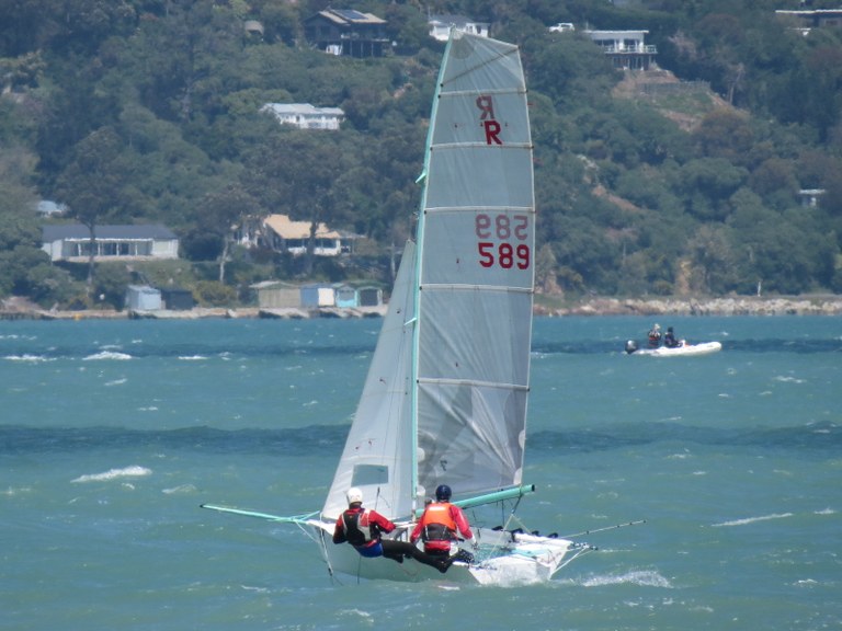R589 - Merde - David Pairman and Peter Holder