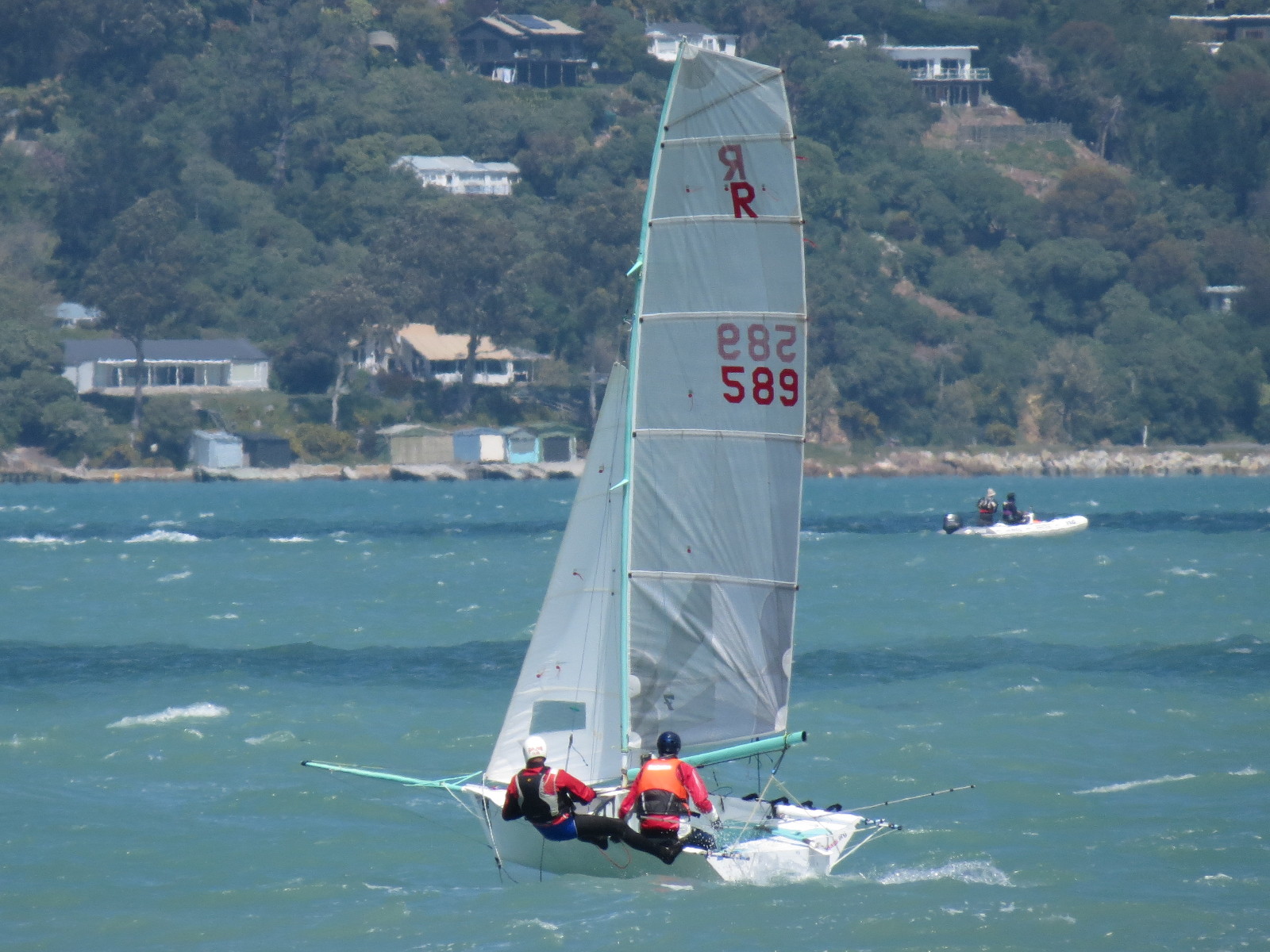 R589 - Merde - David Pairman and Peter Holder