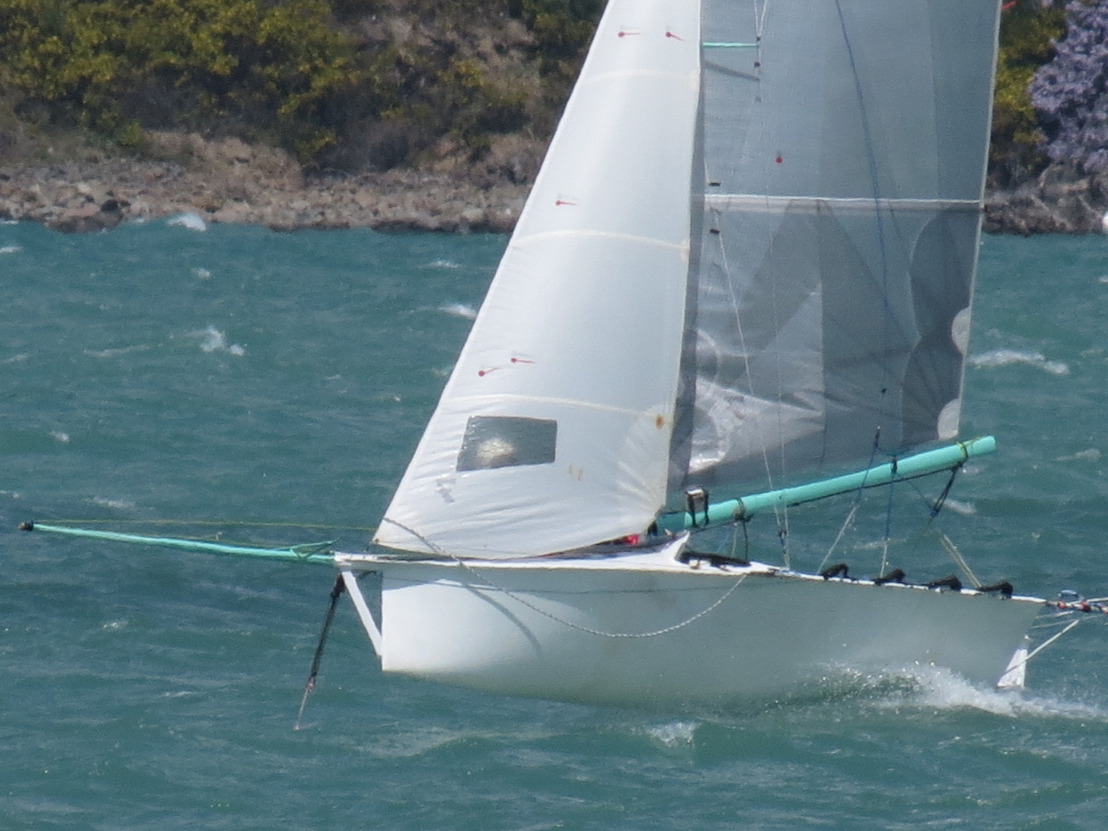 R589 - Merde - David Pairman and Peter Holder