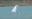 R607 The Virtual, R565 92 More FM and R589 Merde sailing on foils.