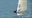 12kts, great day on flat water.